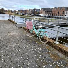 Lichtgroene fiets met roze fietsmand، كما تم الإبلاغ عنه عبر iLost