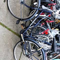 Dámské kolo batavus, jak nahlášeno Stadswerk072 pomocí iLost