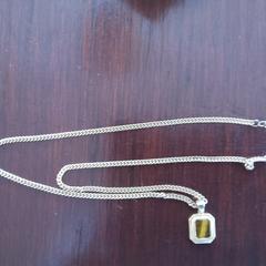 Gouden ketting met hanger, segundo informou a iLost