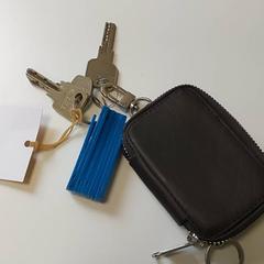 Chiavi Charloteaux, come riportato da Regio Limburg - Leuven utilizzando iLost