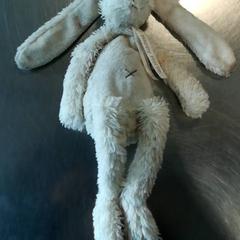 Knuffel Konijn, as reported by Burgers' Zoo using iLost