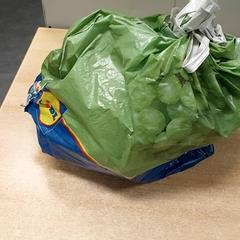 Bolsa - Plastic zak, segundo informou Centraal magazijn usando iLost