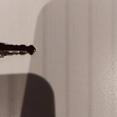 Clau, segons ha informat De Efteling mitjançant iLost