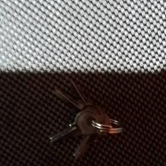 鍵 がiLostで Apenheul によって報告されました