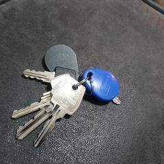 Sleutelbos, ako bolo nahlásené iLost