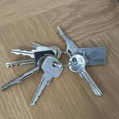 Sleutels met Rabo interhelp extra hanger an iLost gemeldet