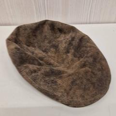 Cap, segons ha informat Transdev Gooi en Vechtstreek mitjançant iLost