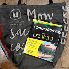 Bok L'immobilier pour les nuls, som rapportert av IKEA Bayonne Ametzondo ved bruk av iLost