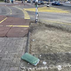 Groene brillenkoker met bril zwarte rand, jak zgłoszono do iLost