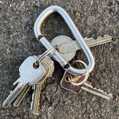 Sleutelbos, ako bolo nahlásené iLost