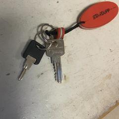 Klucz, zgłoszono przez Artis przy użyciu iLost