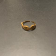 반지, iLost를 사용하여 Van der Valk Hotel Houten에 보고됨