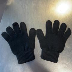Handschoenen Zwart, zoals gemeld door Burgers' Zoo met iLost