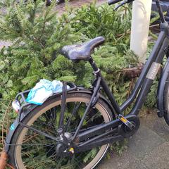 Damesfiets Gazelle Esprit, jak bylo nahlášeno na iLost