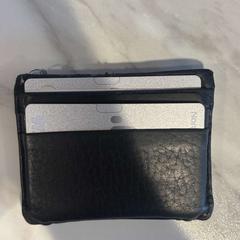 Wallets sigurdsen, as reported by Fjord Line - Fjord FSTR using iLost