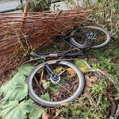 Damesfiets, som rapportert til iLost