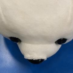 لعبة محبوبة، كما تم الإبلاغ عنه بواسطة IKEA福岡新宮 عبر iLost