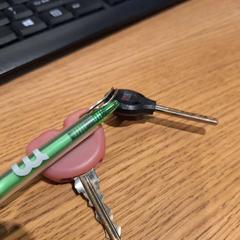 Clés, a été signalé par Gemeente Meierijstad utilisant iLost