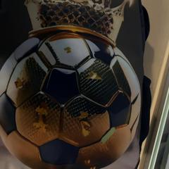Zaino Gouden voetbal, come riportato da Jaarbeurs utilizzando iLost