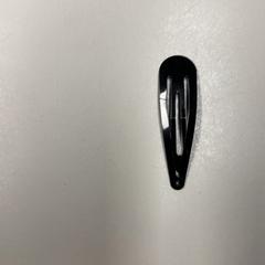 Haarklip Zwart, segundo informou Burgers' Zoo usando iLost