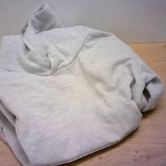 Hoodie, zoals gemeld door Bobbejaanland met iLost