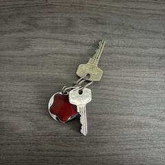 Sleutel met Verisure hanger, jak bylo nahlášeno na iLost