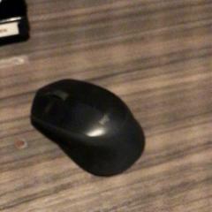 Souris, a été signalé par Van der Valk Hotel Zwolle utilisant iLost