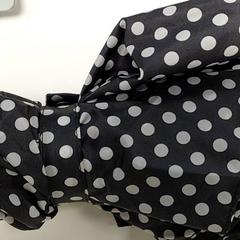 Ombrello, come riportato da Centraal magazijn utilizzando iLost