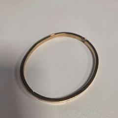 Armband, zoals gemeld door AFAS Live met iLost