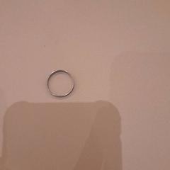 Anillo Silver, ha sido reportado por Van der Valk Hotel Schiphol con iLost