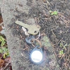 Sleutelbos a été signalé sur iLost