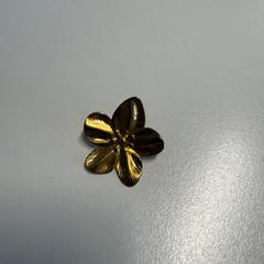 Kolczyk, zgłoszono przez TheaterHangaar przy użyciu iLost