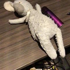 Peluche, ha sido reportado por Van der Valk Hotel Zwolle con iLost