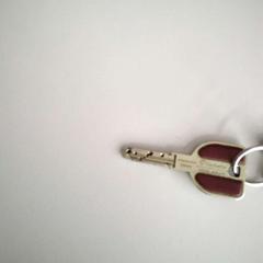 Clé, a été signalé par Twisto utilisant iLost