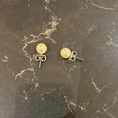 Bijoux, a été signalé par Van der Valk Hotel Veenendaal utilisant iLost