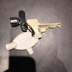 Llavero, ha sido reportado por Universiteit Gent - Faculteitsbibliotheek LW con iLost