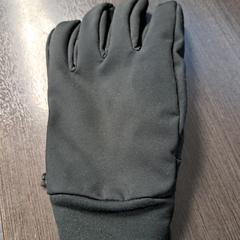 Handschoen Zwart, ako bolo nahlásené TU/e - Receptie Gemini pomocou iLost