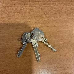 Clau, segons ha informat Gemeente Amsterdam mitjançant iLost