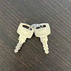 Keys, gerapporteerd met iLost