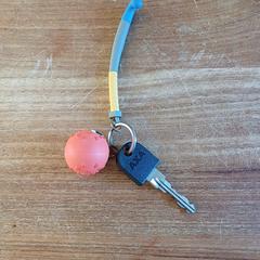 FIETS, come riportato a iLost