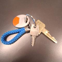 Clefs, a été signalé par IKEA Nice Saint Isidore utilisant iLost