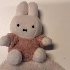 Knuffel, as reported by Qbuzz ZHN using iLost