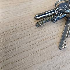 المفاتيح (متنوعة)، كما تم الإبلاغ عنه بواسطة Gemeente Nijkerk عبر iLost