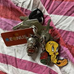 Sleutelbos, iLost에 보고됨