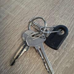 المفاتيح، كما تم الإبلاغ عنه بواسطة EBS OV Poeldijk عبر iLost