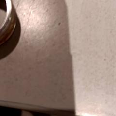 반지, iLost를 사용하여 De Efteling에 보고됨