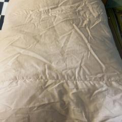 Kinderdekbed, as reported by Familie Resort Molenwaard using iLost