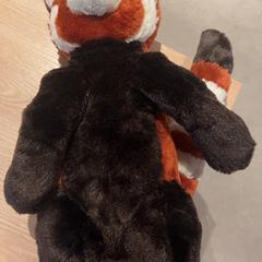 Knuffel, as reported by Van der Valk Hotel Eindhoven - Best using iLost