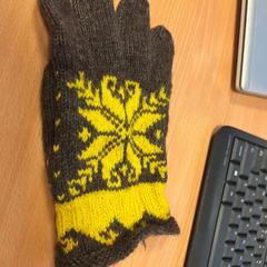 Rukavice zwart en geel, jak nahlášeno TU/e - Receptie Pendulum pomocí iLost