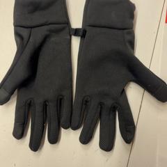 Gloves, as reported by GVB using iLost